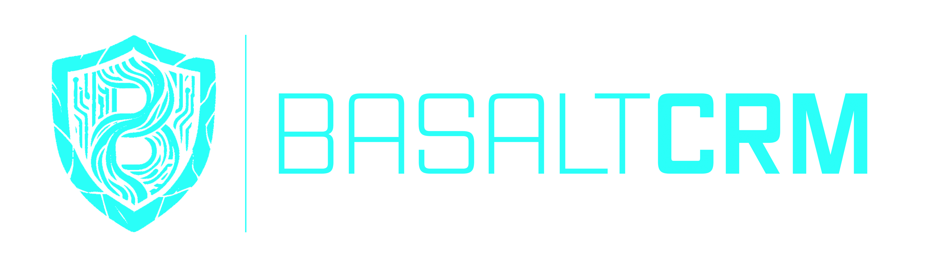 BasaltCRM Logo